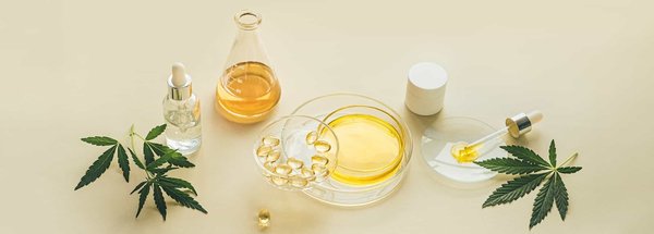 La crème du cbd : le comparateur pour trouver du cbd pas cher et de qualité